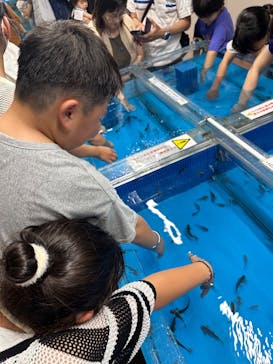 越前松島水族館に投稿された画像（2024/8/15）