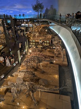 福井県立恐竜博物館に投稿された画像（2024/8/15）