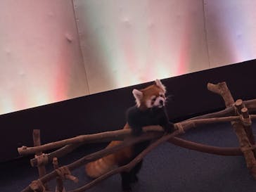 横浜・八景島シーパラダイスに投稿された画像（2024/8/15）