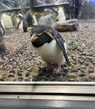 越前松島水族館に投稿された画像（2024/8/15）