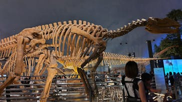 福井県立恐竜博物館に投稿された画像（2024/8/15）