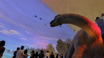 福井県立恐竜博物館に投稿された画像（2024/8/15）