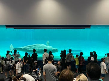 鴨川シーワールドに投稿された画像（2024/8/15）