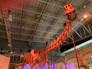 巨大恐竜展2024に投稿された画像（2024/8/15）