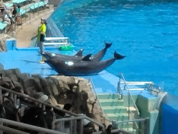 名古屋港水族館に投稿された画像（2024/8/15）