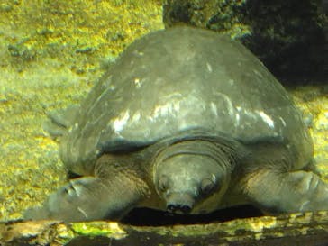 名古屋港水族館に投稿された画像（2024/8/15）