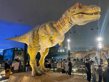 福井県立恐竜博物館に投稿された画像（2024/8/15）
