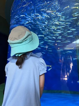 アクアワールド茨城県大洗水族館に投稿された画像（2024/8/15）