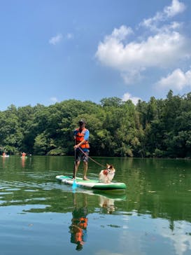 フォレストカレッジに投稿された画像（2024/8/15）