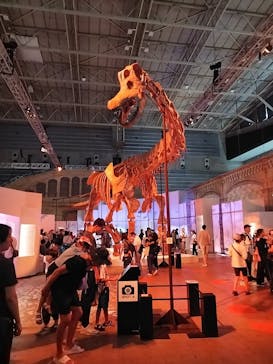 巨大恐竜展2024に投稿された画像（2024/8/15）