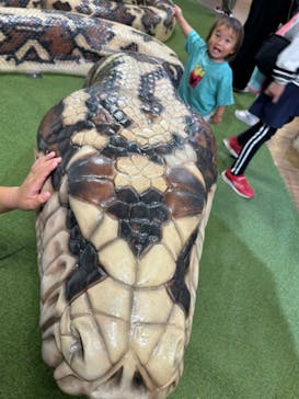 NARA KINGYO MUSEUMに投稿された画像（2024/8/15）