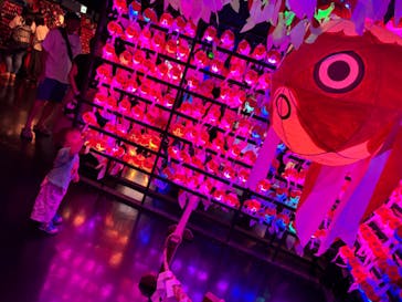 NARA KINGYO MUSEUMに投稿された画像（2024/8/15）