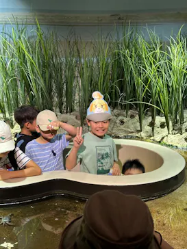 仙台うみの杜水族館に投稿された画像（2024/8/15）