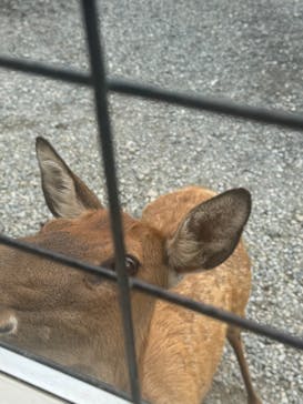 那須サファリパークに投稿された画像（2024/8/15）