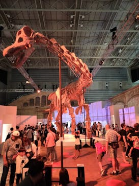 巨大恐竜展2024に投稿された画像（2024/8/15）