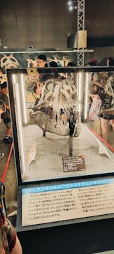 福井県立恐竜博物館に投稿された画像（2024/8/15）