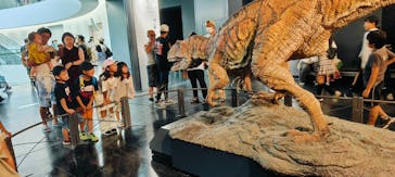 福井県立恐竜博物館に投稿された画像（2024/8/15）