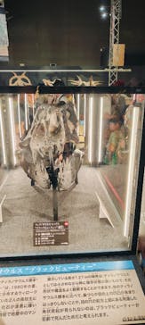 福井県立恐竜博物館に投稿された画像（2024/8/15）