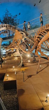 福井県立恐竜博物館に投稿された画像（2024/8/15）