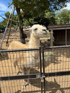 伊豆シャボテン動物公園に投稿された画像（2024/8/15）
