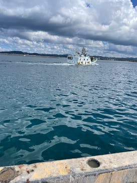 海釣り体験＠レンタル釣竿まるへい遊び隊に投稿された画像（2024/8/15）