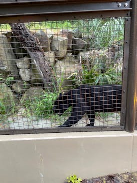 名古屋市東山動植物園に投稿された画像（2024/8/15）