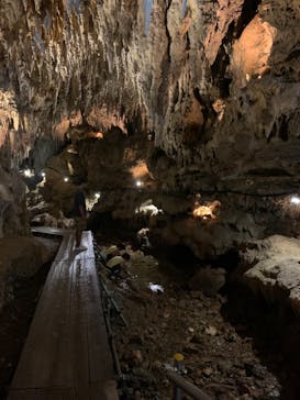 CAVE OKINAWAに投稿された画像（2024/8/15）