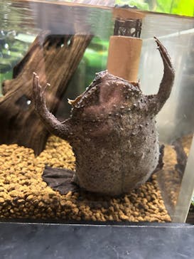 サンシャイン水族館に投稿された画像（2024/8/15）