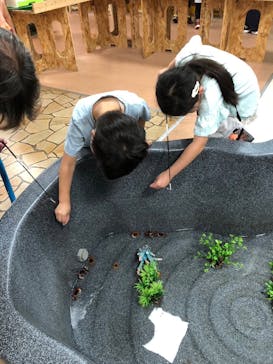 いきもの探検隊上尾に投稿された画像（2024/8/15）