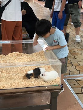 いきもの探検隊上尾に投稿された画像（2024/8/15）