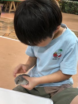 いきもの探検隊上尾に投稿された画像（2024/8/15）