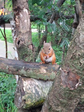 那須どうぶつ王国に投稿された画像（2024/8/15）