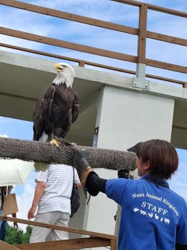 那須どうぶつ王国に投稿された画像（2024/8/15）