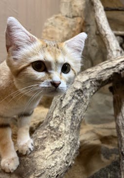 那須どうぶつ王国に投稿された画像（2024/8/15）