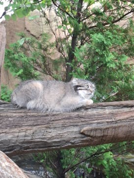 那須どうぶつ王国に投稿された画像（2024/8/15）