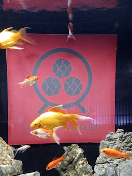 NARA IKIMONO MUSEUMに投稿された画像（2024/8/15）