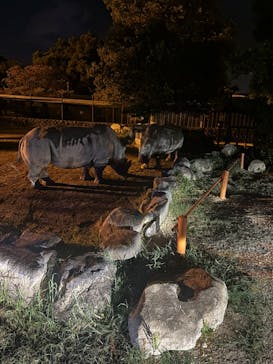 姫路セントラルパークに投稿された画像（2024/8/15）