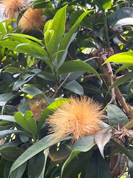 熱川バナナワニ園に投稿された画像（2024/8/15）