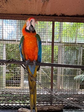 熱川バナナワニ園に投稿された画像（2024/8/15）