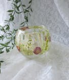 ずこうしつ〜sugamo〜に投稿された画像（2024/8/15）