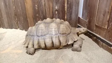 ひらかたパークに投稿された画像（2024/8/15）