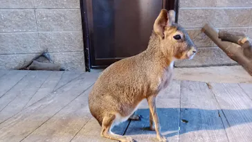 ひらかたパークに投稿された画像（2024/8/15）