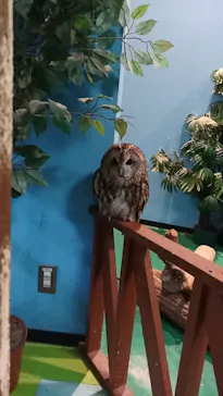 ひらかたパークに投稿された画像（2024/8/15）