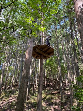 冒険の森のせに投稿された画像（2024/8/15）