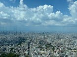 ハルカス300(展望台)に投稿された画像（2024/8/15）
