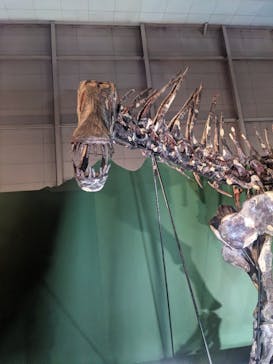 巨大恐竜展2024に投稿された画像（2024/8/15）