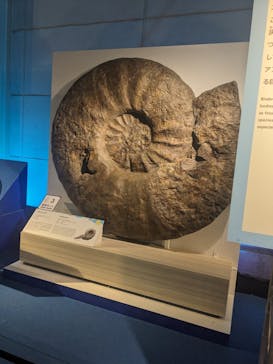 巨大恐竜展2024に投稿された画像（2024/8/15）