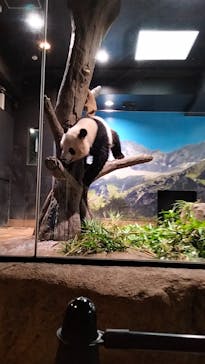 恩賜上野動物園に投稿された画像（2024/8/15）