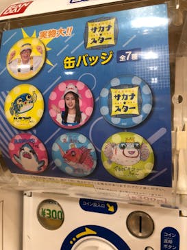 ギョギョッとサカナ★スター展　～お魚たちが教えてくれる海のこと～に投稿された画像（2024/8/15）