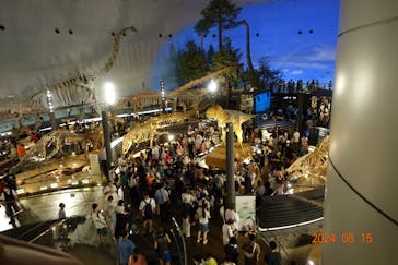 福井県立恐竜博物館に投稿された画像（2024/8/15）